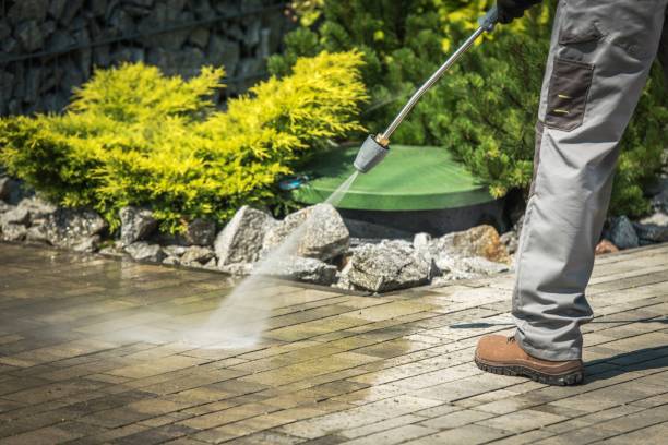 Boat and Dock Cleaning in Colfax, WI